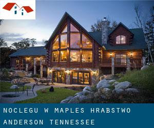 noclegu w Maples (Hrabstwo Anderson, Tennessee)